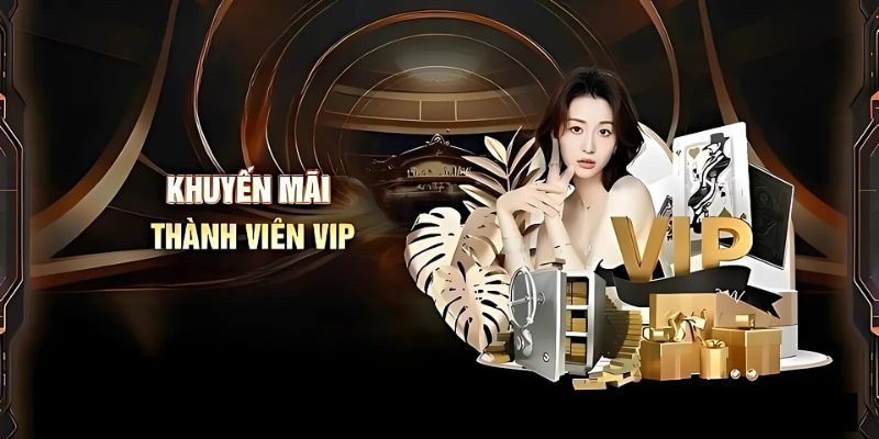 Khuyến mãi Hubet cho level VIP
